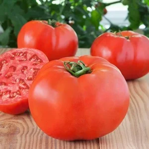 Tomatoes