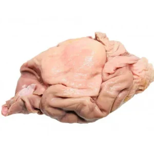Pork Stomach